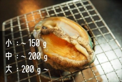 赤あわびの写真とサイズ別目安重量