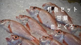 鮮魚の写真と商品例示