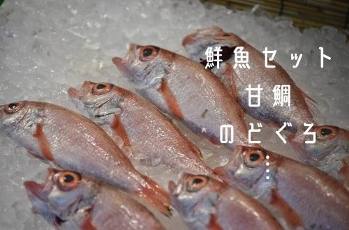 鮮魚の写真と商品例示