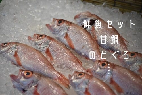 鮮魚の写真と商品例示