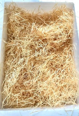 サザエ5kgセット 塩ゆでやつぼ焼きに合う小さなサイズ 70g未満 大容量で格安販売 由岐 海の便り